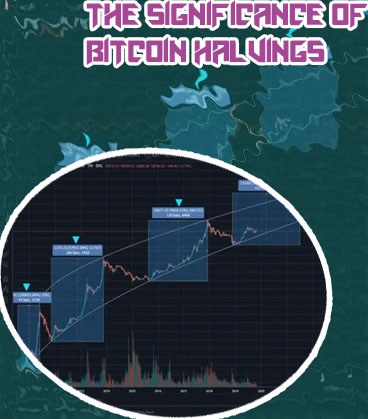 Bitcoin halving cycle