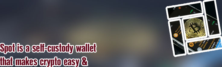 Wallet bitcoin