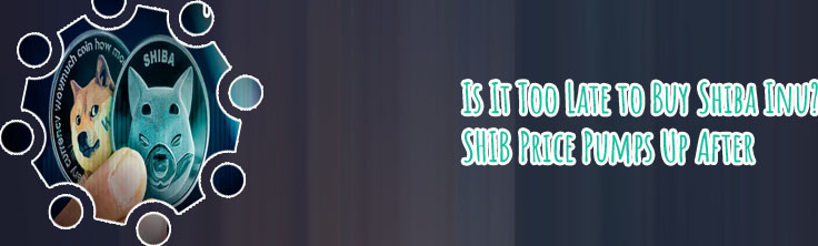 Where can i buy shiba inu cryptocurrency