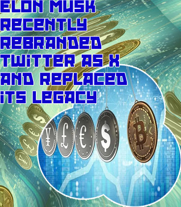 X vs crypto domain